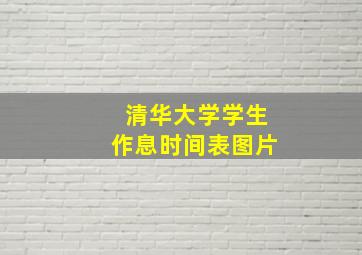 清华大学学生作息时间表图片