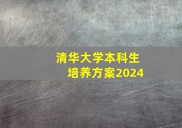 清华大学本科生培养方案2024