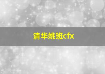 清华姚班cfx