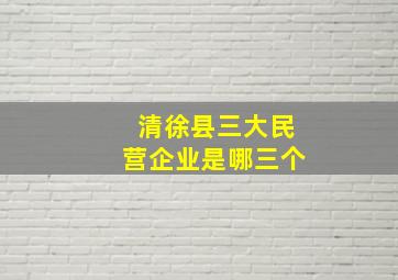 清徐县三大民营企业是哪三个