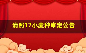 清照17小麦种审定公告