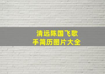 清远陈国飞歌手简历图片大全