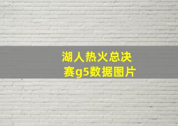 湖人热火总决赛g5数据图片