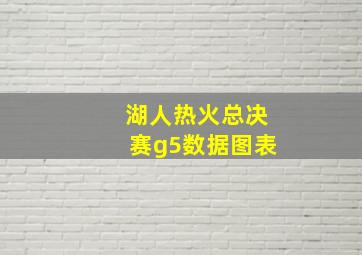 湖人热火总决赛g5数据图表