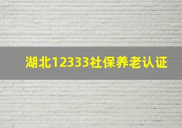 湖北12333社保养老认证