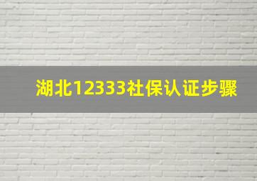 湖北12333社保认证步骤