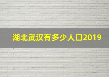 湖北武汉有多少人口2019