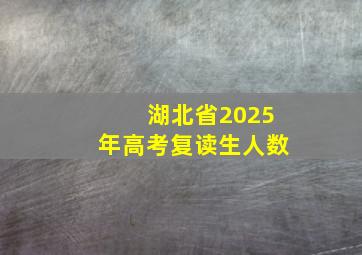 湖北省2025年高考复读生人数