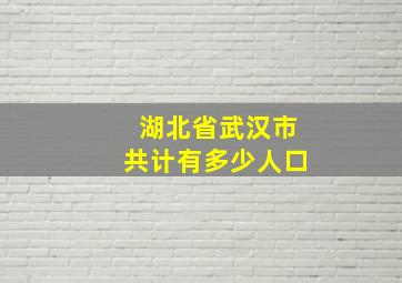 湖北省武汉市共计有多少人口