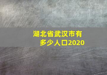 湖北省武汉市有多少人口2020