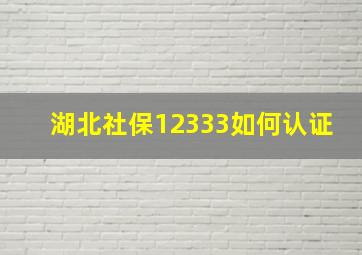 湖北社保12333如何认证