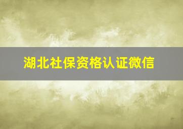 湖北社保资格认证微信