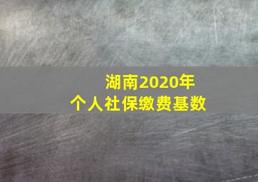 湖南2020年个人社保缴费基数