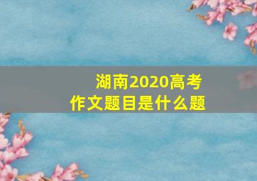 湖南2020高考作文题目是什么题