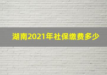 湖南2021年社保缴费多少