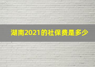 湖南2021的社保费是多少