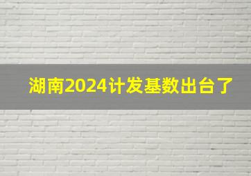 湖南2024计发基数出台了