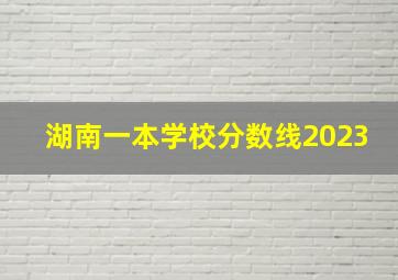 湖南一本学校分数线2023