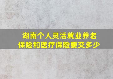 湖南个人灵活就业养老保险和医疗保险要交多少