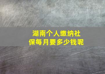 湖南个人缴纳社保每月要多少钱呢