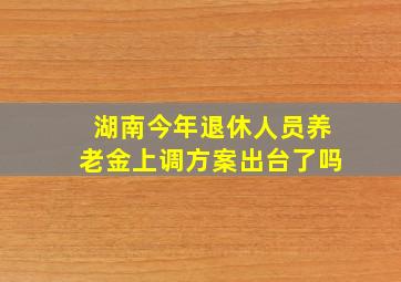 湖南今年退休人员养老金上调方案出台了吗