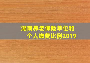 湖南养老保险单位和个人缴费比例2019