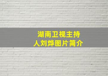 湖南卫视主持人刘烨图片简介