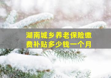 湖南城乡养老保险缴费补贴多少钱一个月