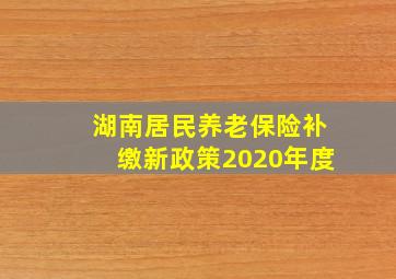 湖南居民养老保险补缴新政策2020年度