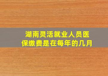 湖南灵活就业人员医保缴费是在每年的几月