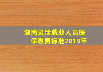 湖南灵活就业人员医保缴费标准2019年