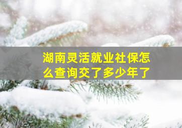 湖南灵活就业社保怎么查询交了多少年了