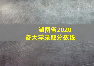 湖南省2020各大学录取分数线