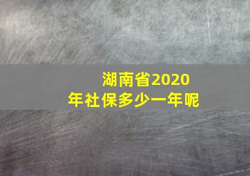 湖南省2020年社保多少一年呢