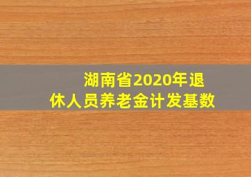 湖南省2020年退休人员养老金计发基数