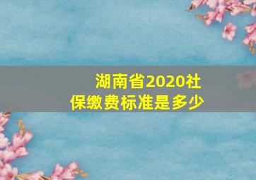 湖南省2020社保缴费标准是多少