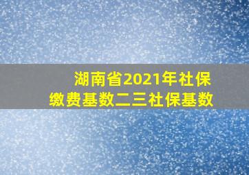 湖南省2021年社保缴费基数二三社保基数