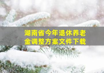 湖南省今年退休养老金调整方案文件下载