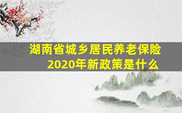 湖南省城乡居民养老保险2020年新政策是什么