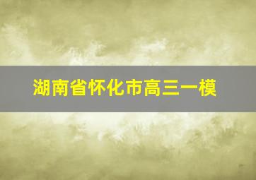 湖南省怀化市高三一模