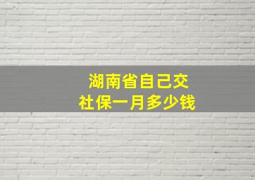 湖南省自己交社保一月多少钱