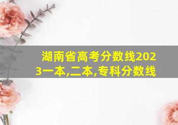 湖南省高考分数线2023一本,二本,专科分数线