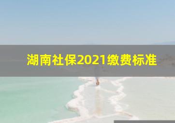 湖南社保2021缴费标准