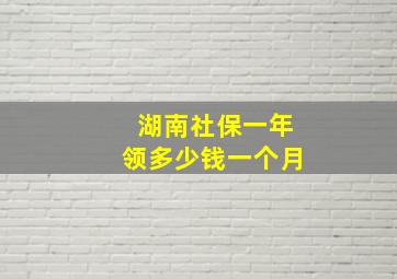 湖南社保一年领多少钱一个月