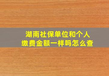 湖南社保单位和个人缴费金额一样吗怎么查