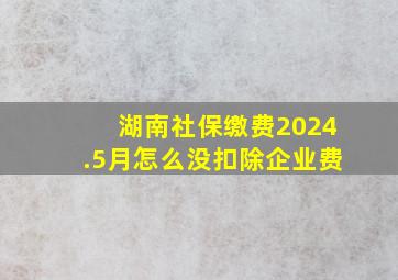 湖南社保缴费2024.5月怎么没扣除企业费