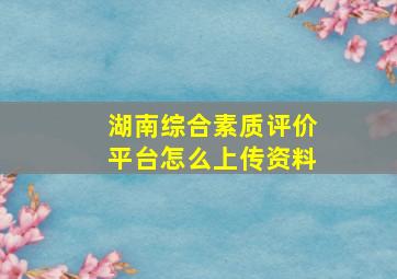 湖南综合素质评价平台怎么上传资料