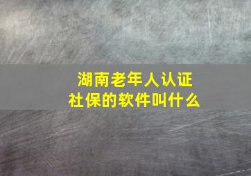 湖南老年人认证社保的软件叫什么