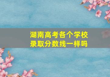 湖南高考各个学校录取分数线一样吗