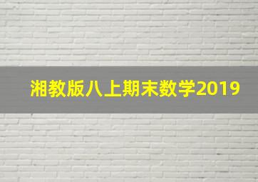 湘教版八上期末数学2019